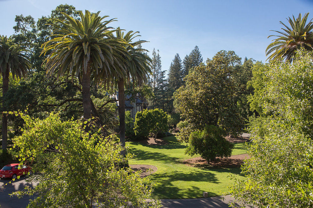 Alila Napa Valley, A Hyatt Resort St. Helena Eksteriør bilde