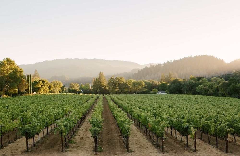 Alila Napa Valley, A Hyatt Resort St. Helena Eksteriør bilde