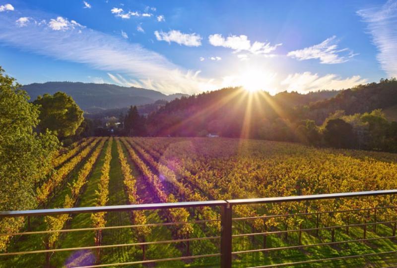 Alila Napa Valley, A Hyatt Resort St. Helena Eksteriør bilde