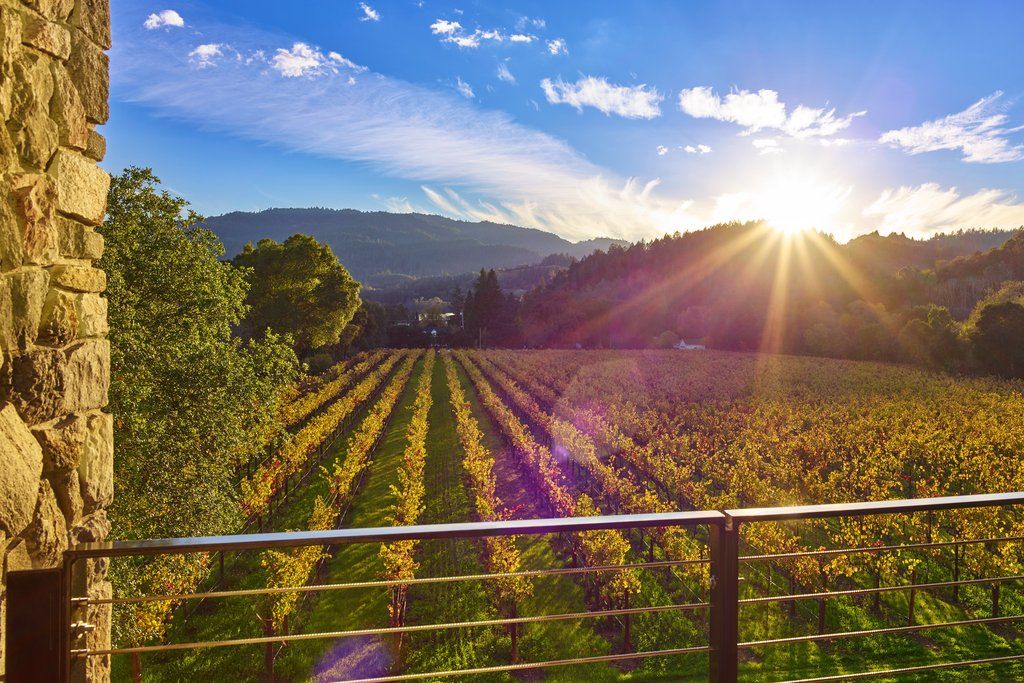 Alila Napa Valley, A Hyatt Resort St. Helena Eksteriør bilde
